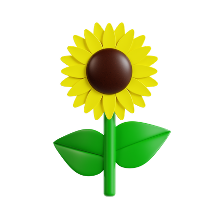 Girasol  3D Icon