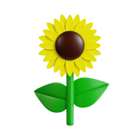 Girasol  3D Icon