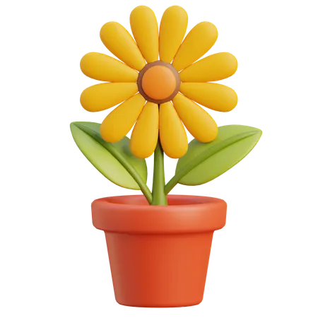 Girasol  3D Icon