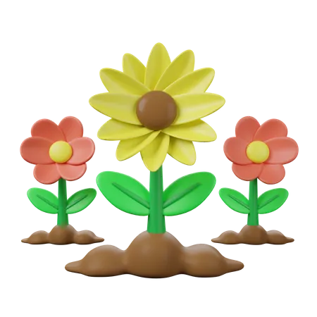 Girasol  3D Icon