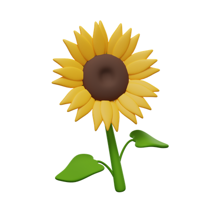 Girasol  3D Icon