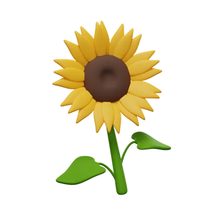 Girasol  3D Icon