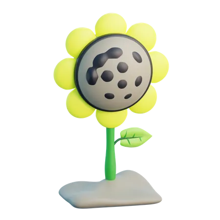 Girasol  3D Icon