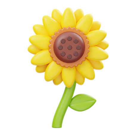 Girasol  3D Icon