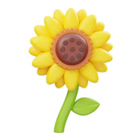 Girasol  3D Icon