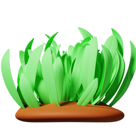 Gras  3D Icon