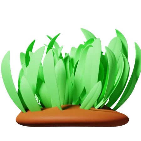 Gras  3D Icon