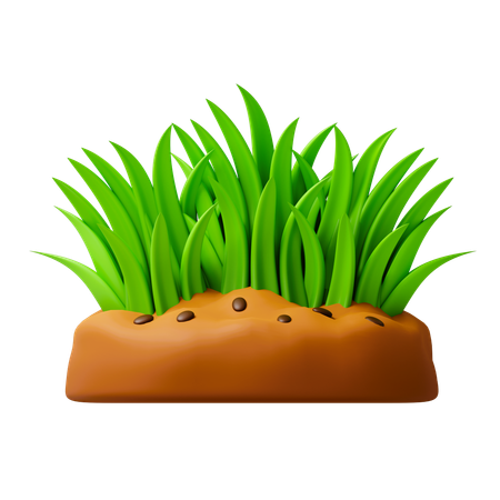 Grass  3D Icon