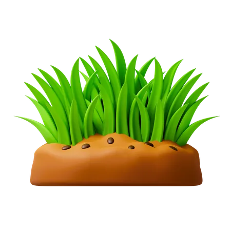 Grass  3D Icon