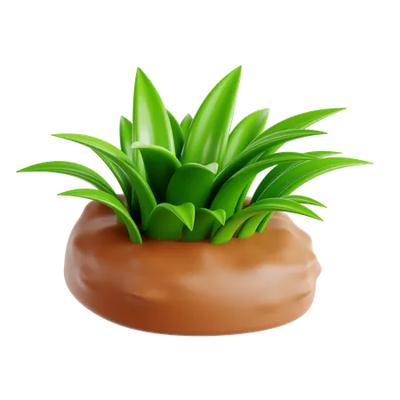 Grass  3D Icon