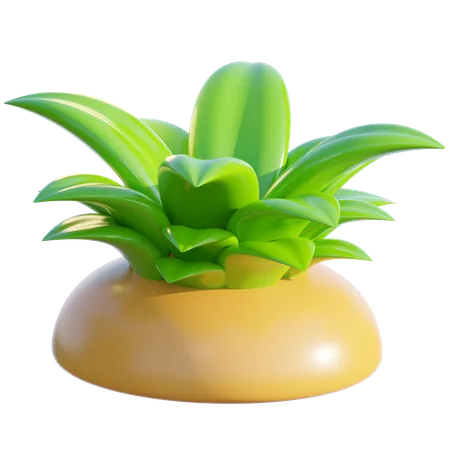 Grass  3D Icon