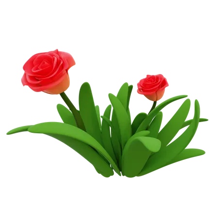 Grass Flower  3D Icon