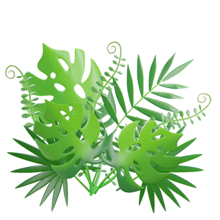 Green Tropical Leaves  3D Icon