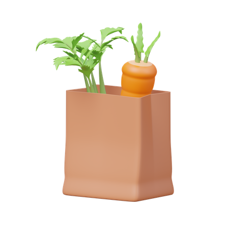 Grocery Bag  3D Illustration