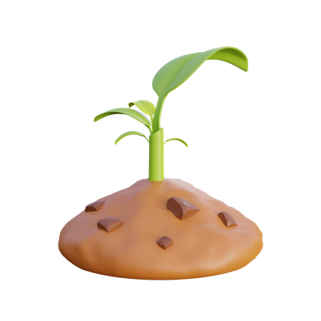 Grow plants  3D Icon