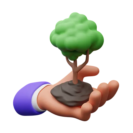 Hand holding tree  3D Icon