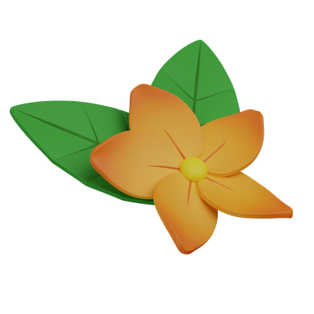 Hawaiianische Blume  3D Icon