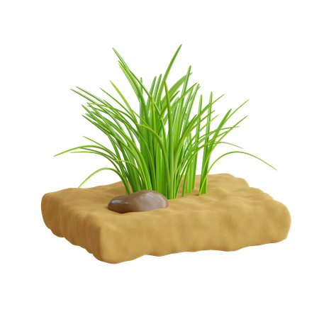 Herbe  3D Icon