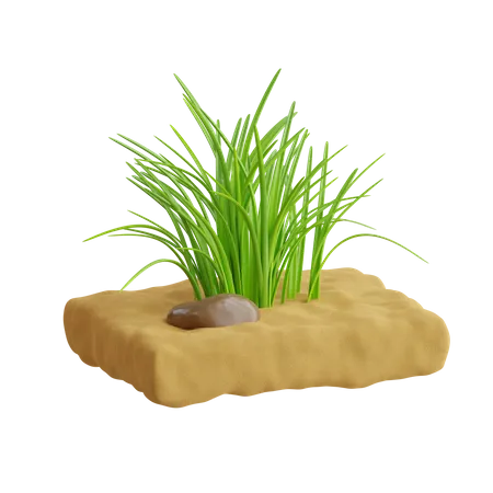 Herbe  3D Icon