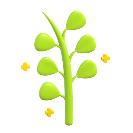 Herbes  3D Icon