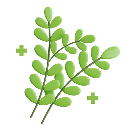 Herbes  3D Icon