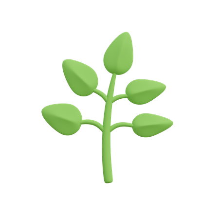 Herbs Plant  3D Illustration