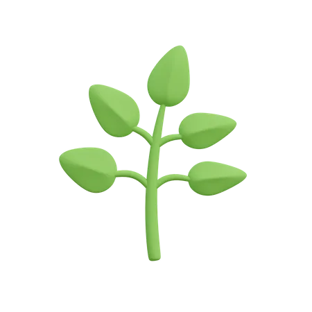 Herbs Plant  3D Illustration