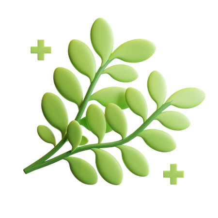 Herbs Plant  3D Illustration