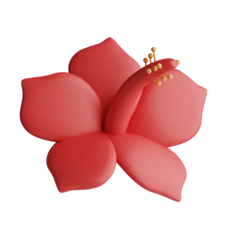 Hibisco  3D Icon