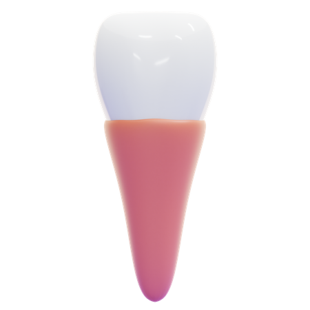 INCISOR  3D Icon