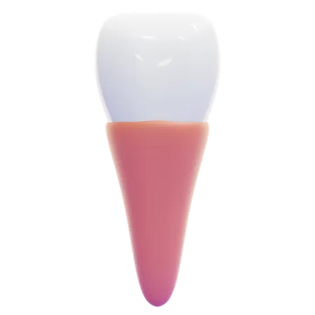 INCISOR  3D Icon