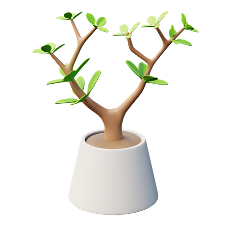 Jade Plant  3D Icon