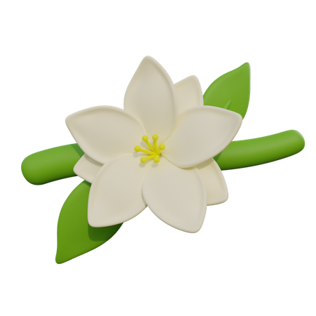 Jasmine  3D Icon