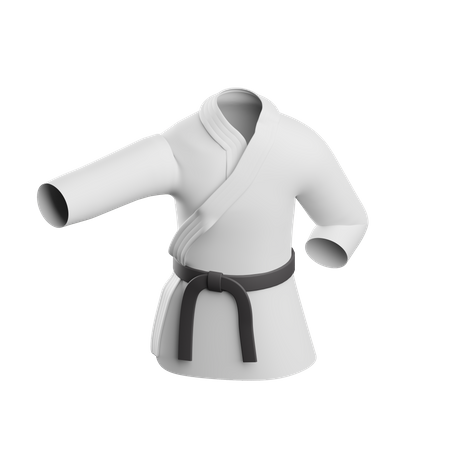 Judo  3D Icon