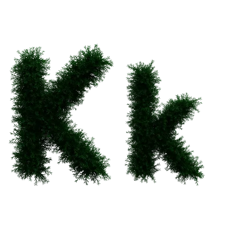 K  3D Illustration