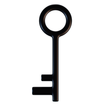 Key  3D Illustration