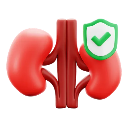 Kidney Transplant  3D Icon