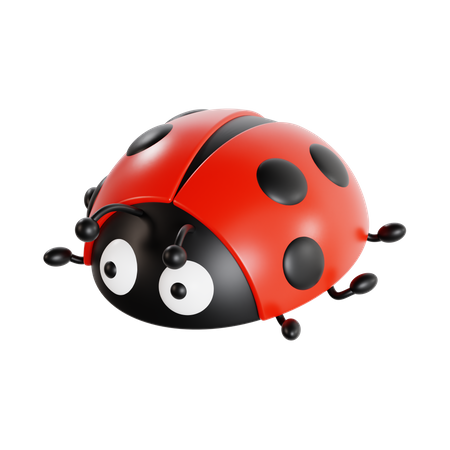 Ladybug  3D Icon