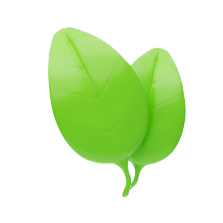 Leaf  3D Icon