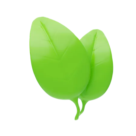 Leaf  3D Icon