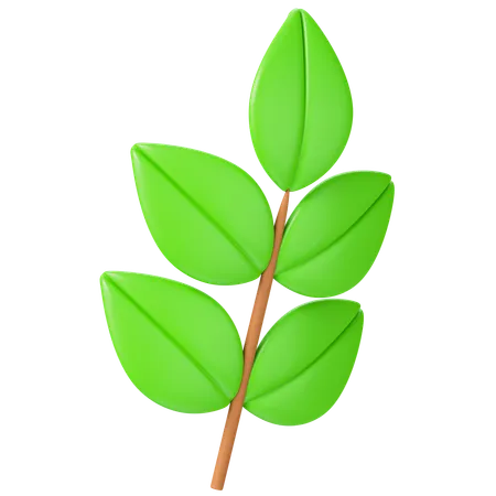 Leaf  3D Icon