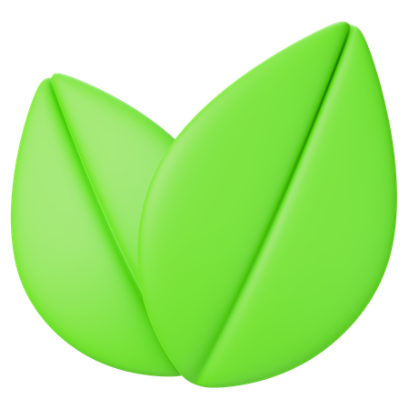 Leaf  3D Icon