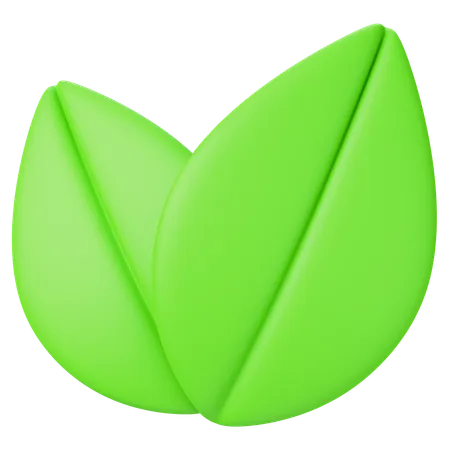 Leaf  3D Icon