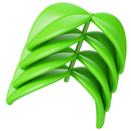 Leaf  3D Icon