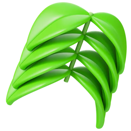 Leaf  3D Icon