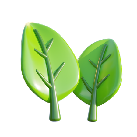 Leaf  3D Icon