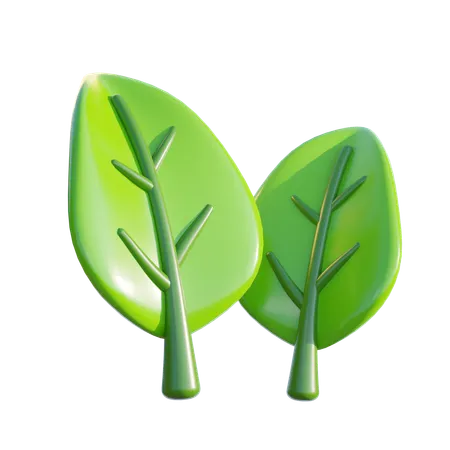 Leaf  3D Icon