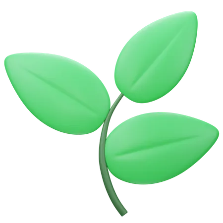 Leaf  3D Icon