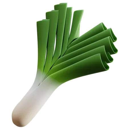 Leek  3D Icon