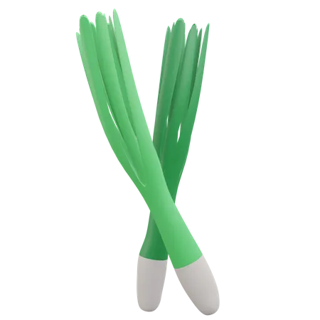 Leek  3D Icon